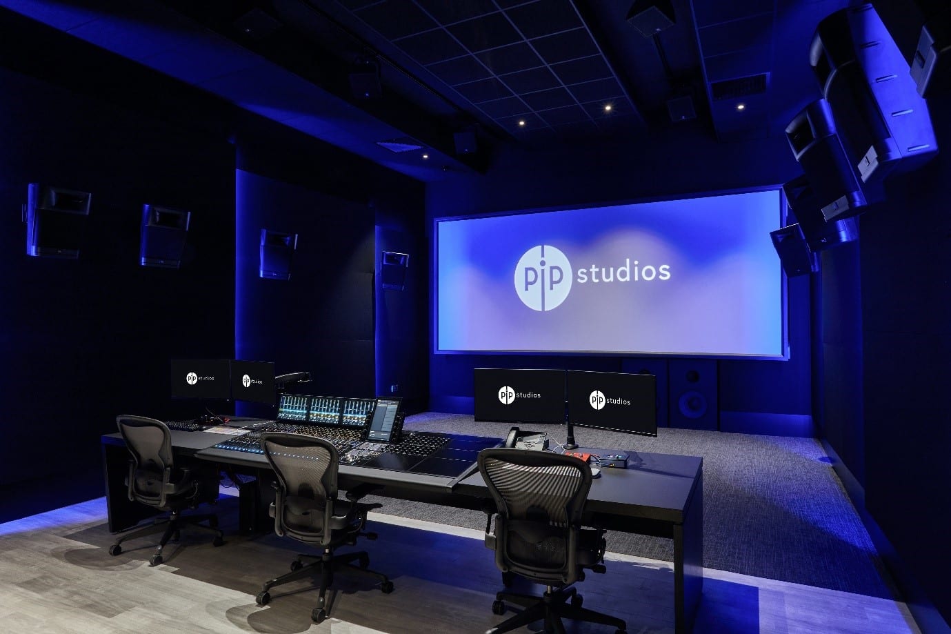 Read more about the article PIP Studios